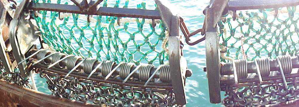 Scallop Dredge